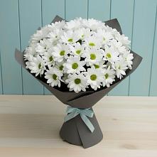 Букет цветов из:  Хризантемы в Добром